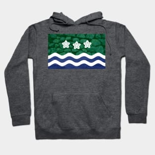 Cumbria Flag - Texture Hoodie